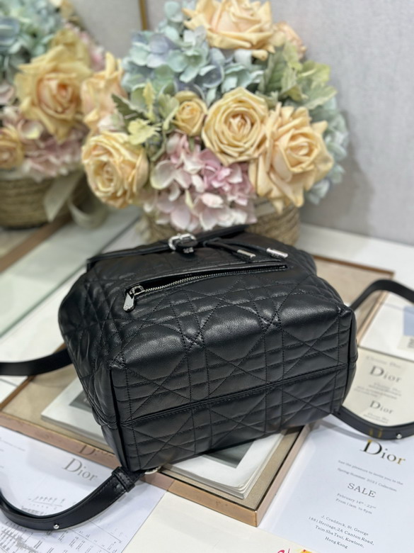 Dior D007 23x26 7x12 5cm yz_5