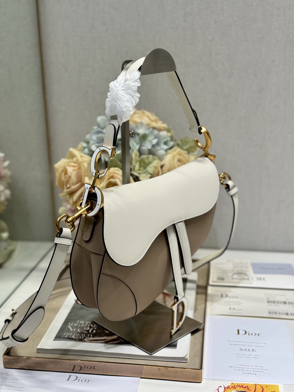 Dior Saddle 3351 25 5x20x6 5cm yz3_3