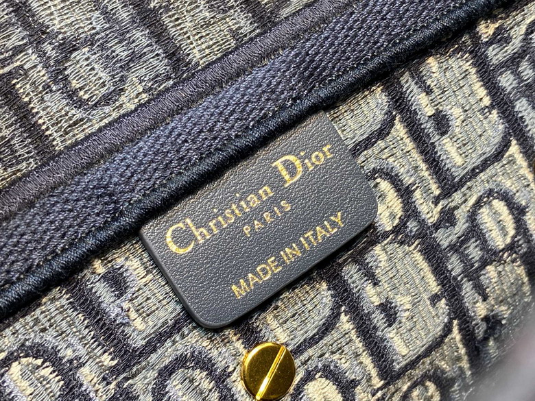 Dior Saddle 3351 25 5x20x6 5cm yz_9