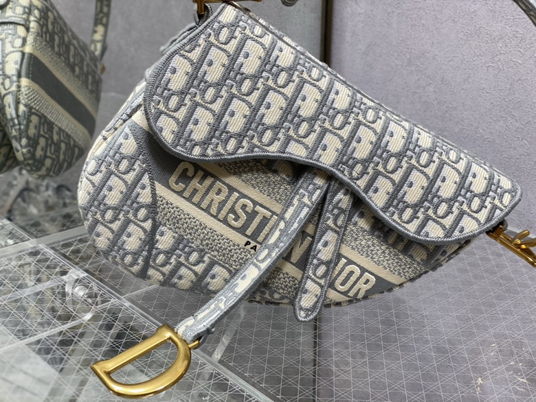 Dior Saddle 3351 25cm yz_2