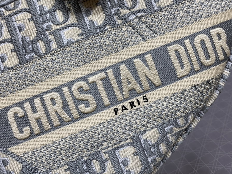 Dior Saddle 3351 25cm yz_3