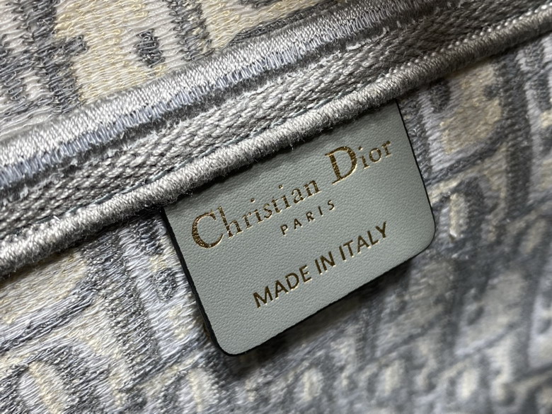 Dior Saddle 3351 25cm yz_9