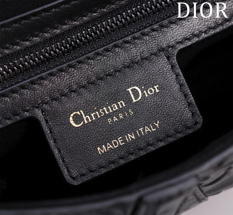 Dior Saddle M0446 25 5x20x6 5cm yz_9