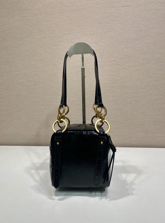 Prada 1BB137 14x14x13 5cm AP1_4
