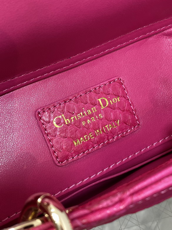 Dior Lady 22cm yz_9