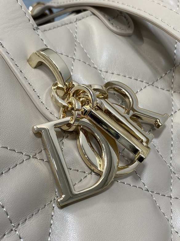 Dior Toujours 20x18 5x22cm yz2_3