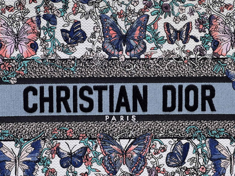 Dior 8001 36 5x27 5x16 5cm yz_4