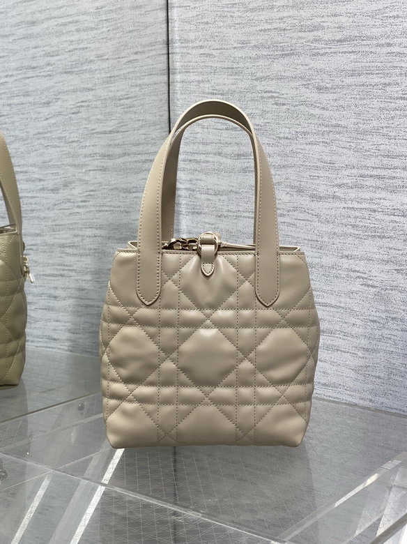 Dior Toujours 16x12x18cm yz2_4