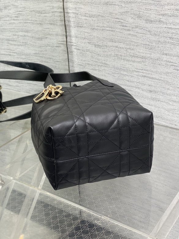 Dior Toujours 16x12x18cm yz3_7