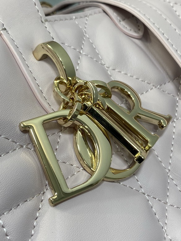 Dior Toujours 20x18 5x22cm yz1_3