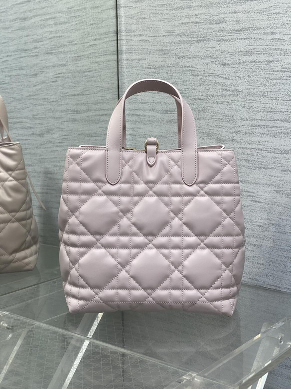 Dior Toujours 20x18 5x22cm yz1_4