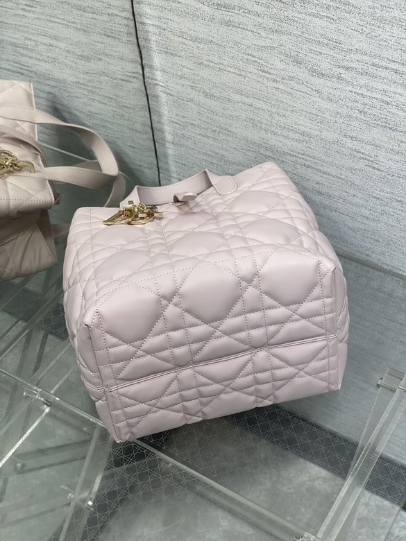 Dior Toujours 20x18 5x22cm yz1_7