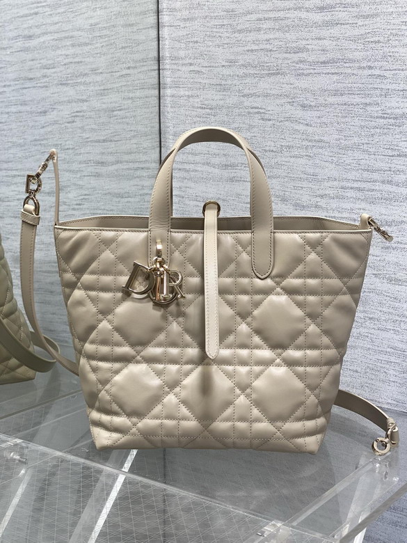 Dior Toujours 20x18 5x22cm yz2_1