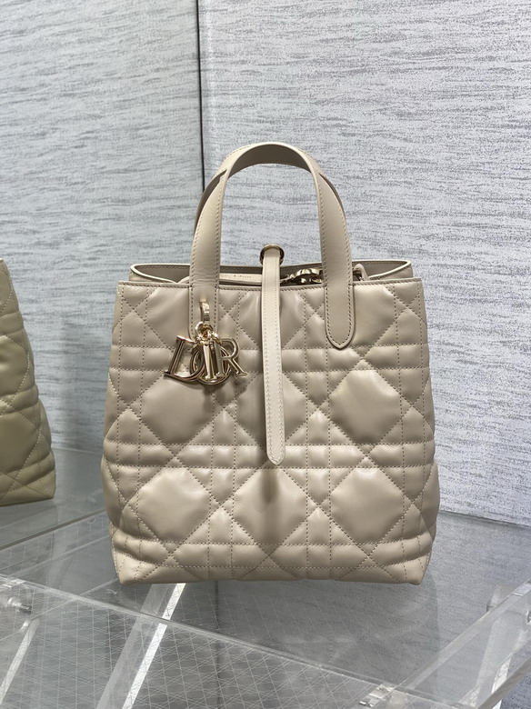 Dior Toujours 20x18 5x22cm yz2_2