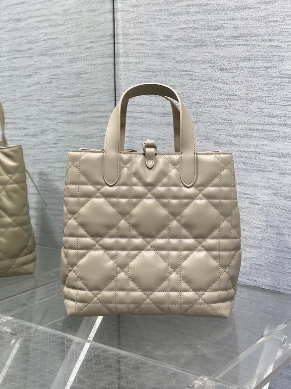 Dior Toujours 20x18 5x22cm yz2_4