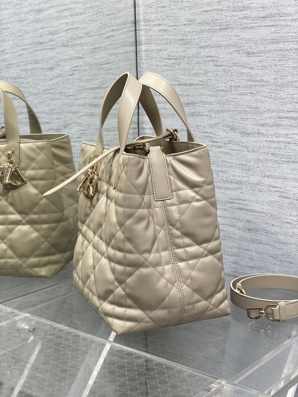 Dior Toujours 20x18 5x22cm yz2_6