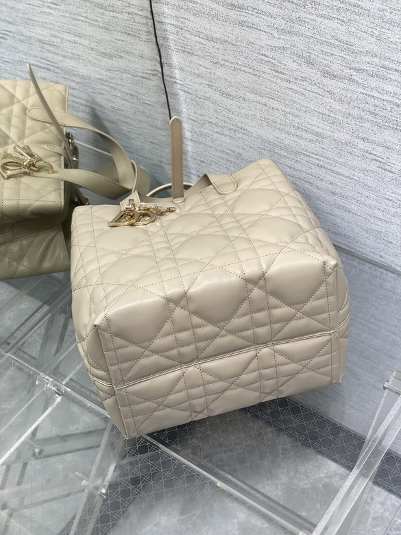 Dior Toujours 20x18 5x22cm yz2_7