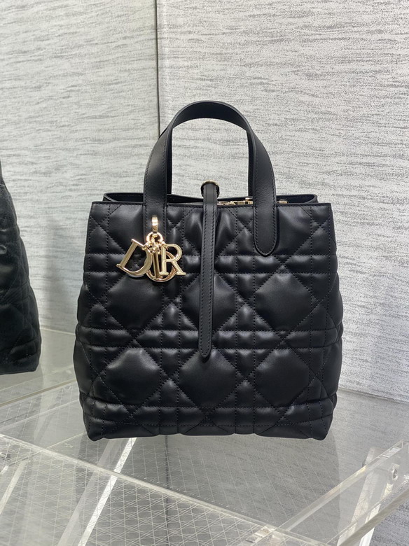 Dior Toujours 20x18 5x22cm yz3_2