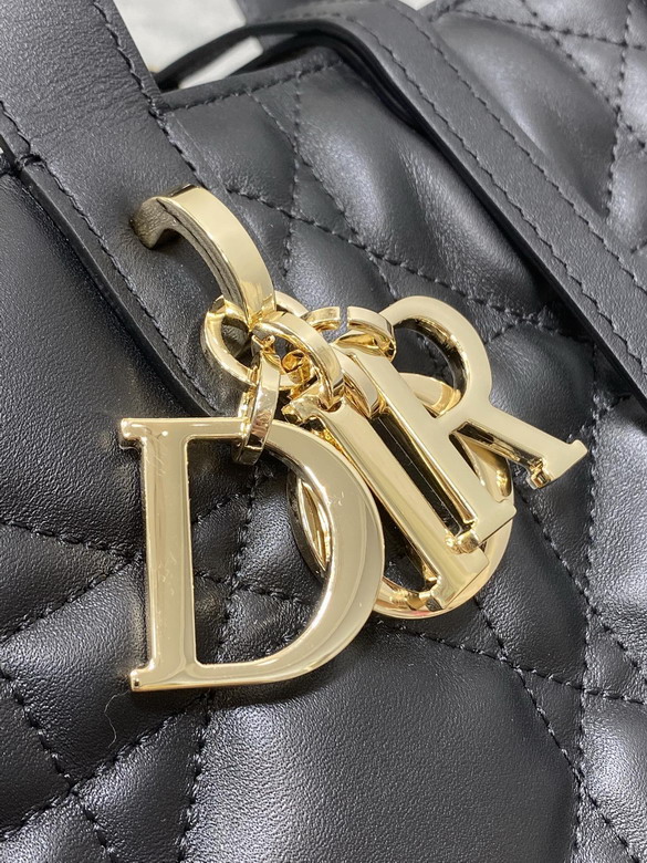 Dior Toujours 20x18 5x22cm yz3_3