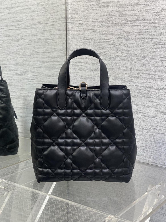 Dior Toujours 20x18 5x22cm yz3_4