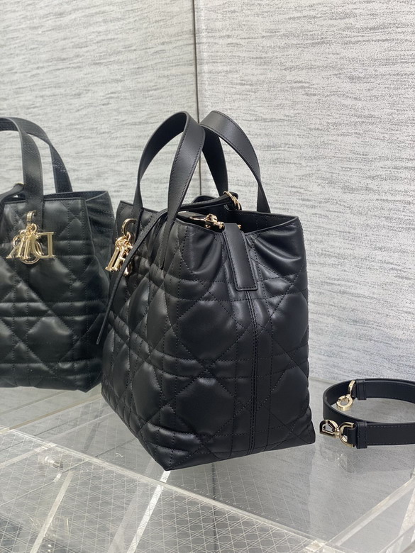 Dior Toujours 20x18 5x22cm yz3_6