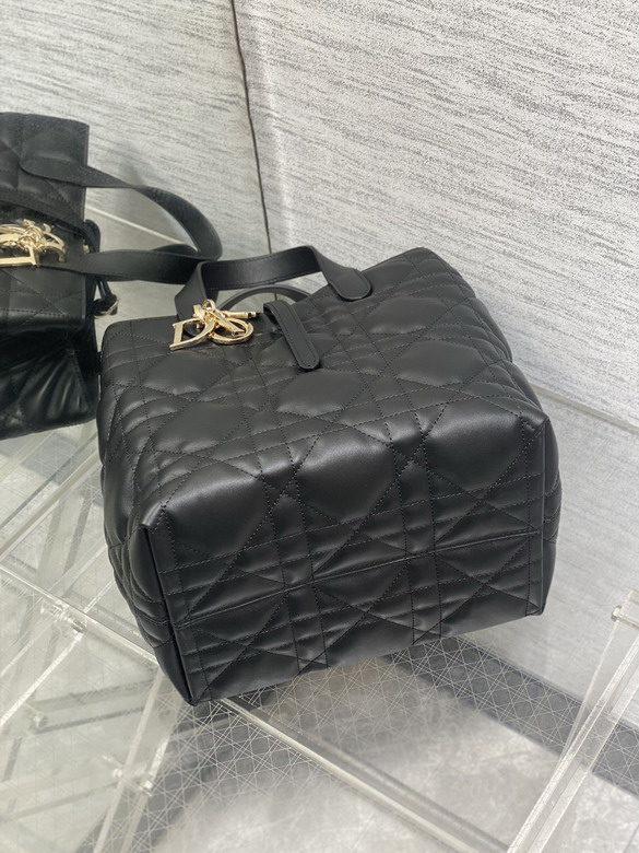 Dior Toujours 20x18 5x22cm yz3_7