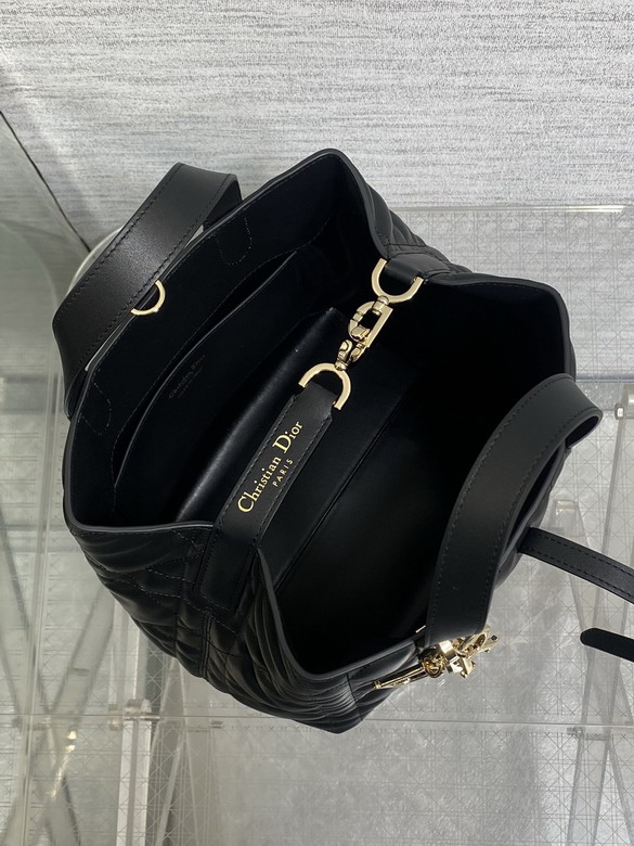 Dior Toujours 20x18 5x22cm yz3_8