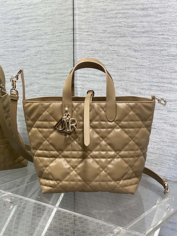 Dior Toujours 20x18 5x22cm yz_3