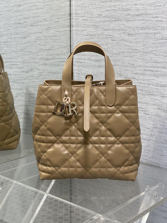 Dior Toujours 20x18 5x22cm yz_4