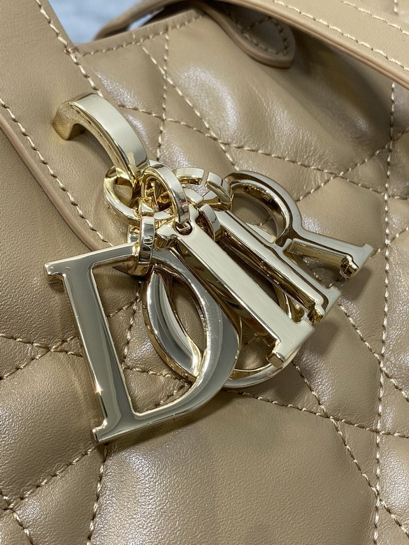 Dior Toujours 20x18 5x22cm yz_5