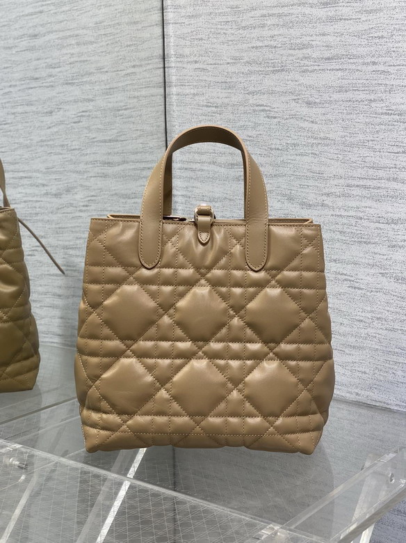 Dior Toujours 20x18 5x22cm yz_6