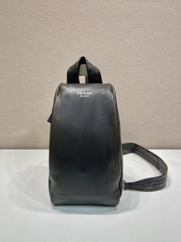 Prada 2VZ114 18x32x11cm AP2_1