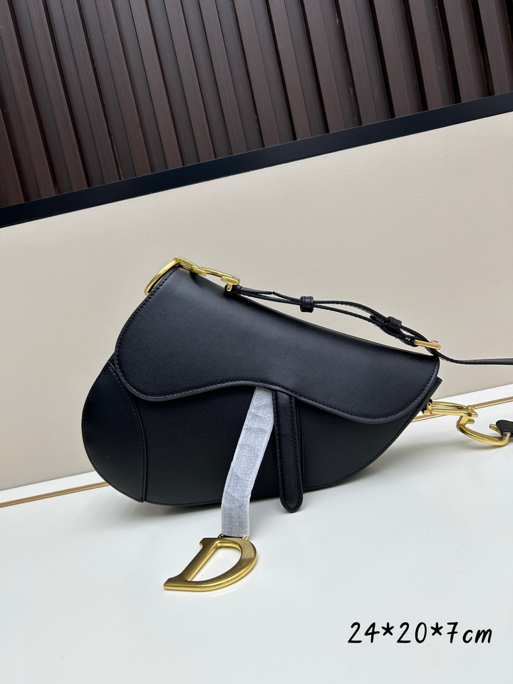 Dior Saddle 24x20x7cm jj1_1