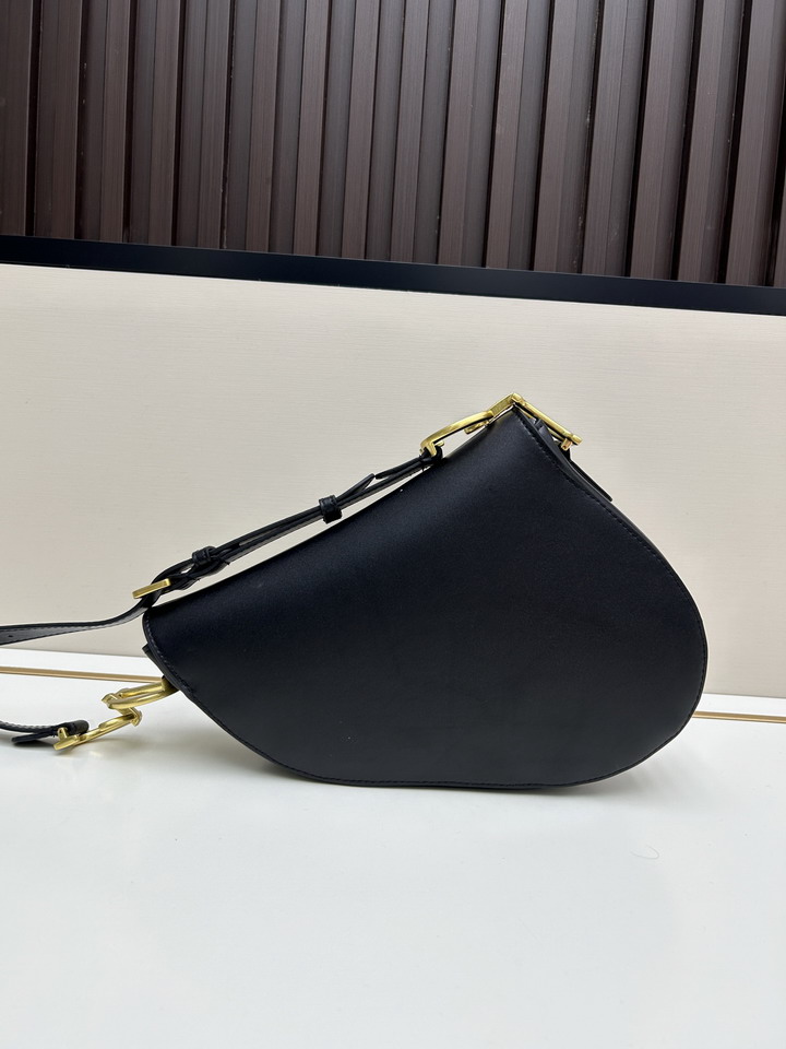 Dior Saddle 24x20x7cm jj1_2