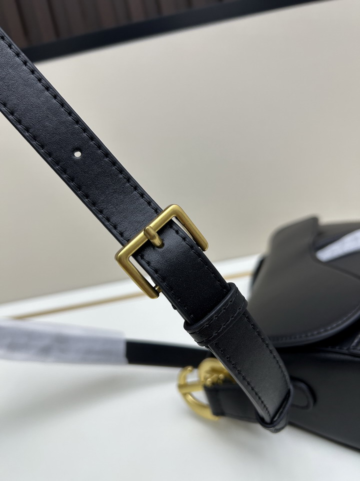 Dior Saddle 24x20x7cm jj1_6