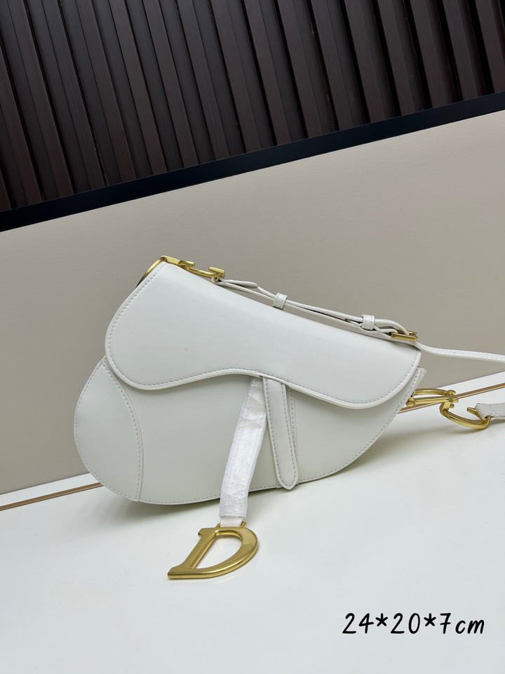 Dior Saddle 24x20x7cm jj_1