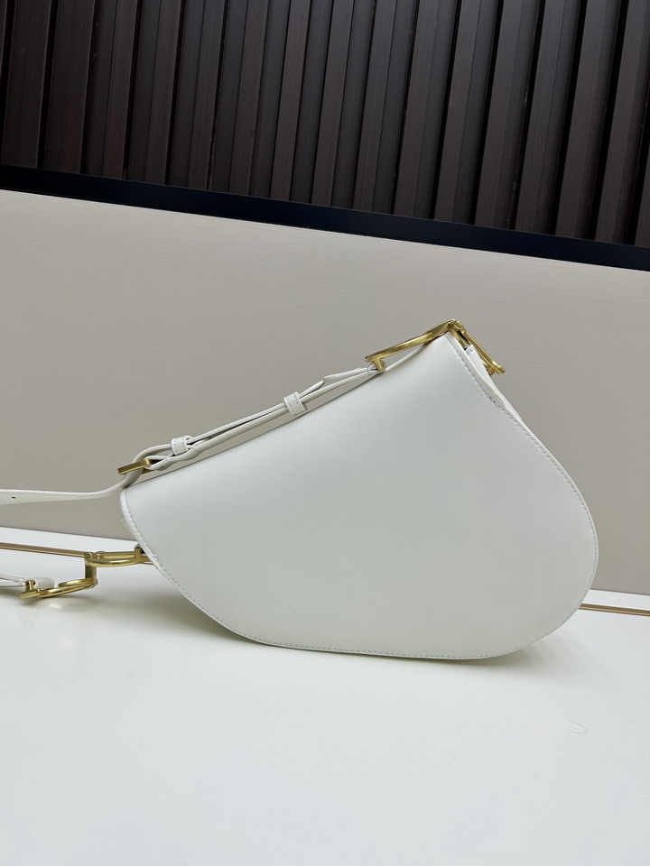 Dior Saddle 24x20x7cm jj_2