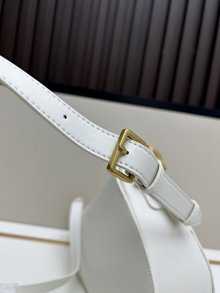 Dior Saddle 24x20x7cm jj_6