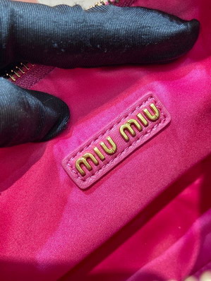 Miumiu 5BC125 20x17x6cm AP_10