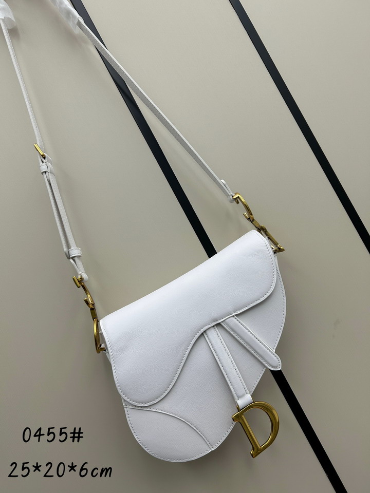 Dior saddle 0455 25 5x20x6 5cm jj1_1