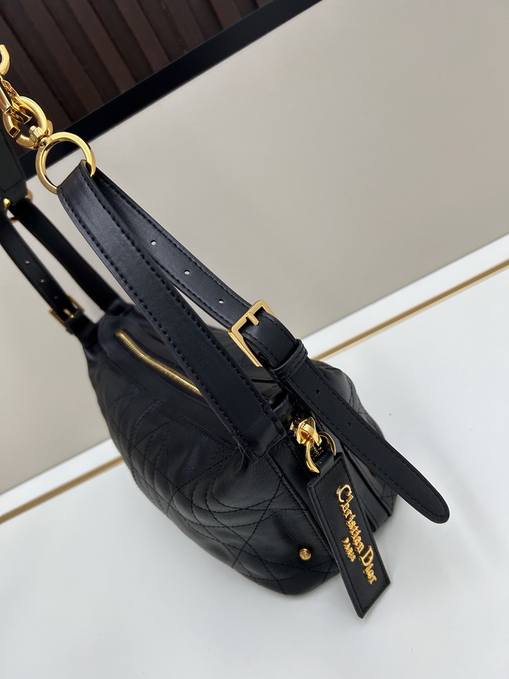 Dior journey 0339 23x14x16cm jj2_3