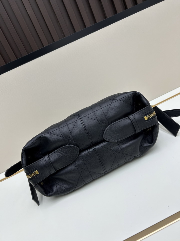 Dior journey 0339 23x14x16cm jj2_5