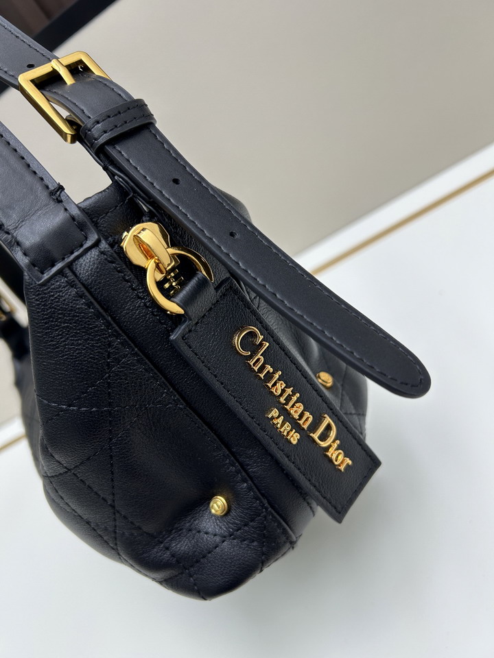 Dior journey 0339 23x14x16cm jj2_6