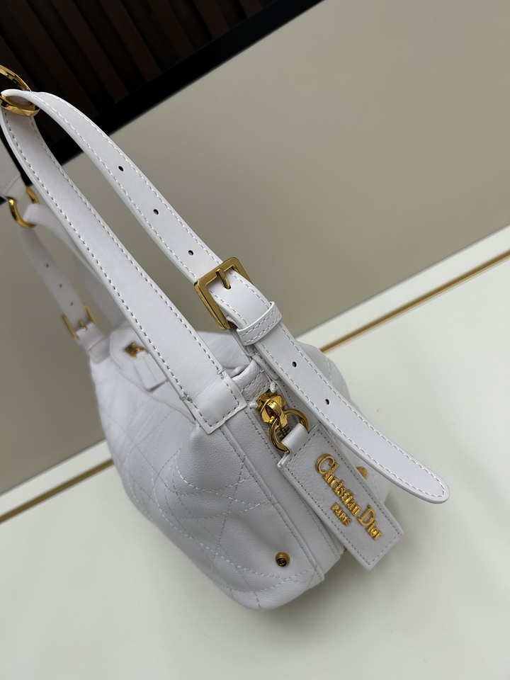 Dior journey 0339 23x14x16cm jj3_3