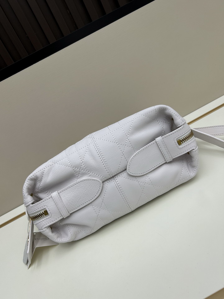 Dior journey 0339 23x14x16cm jj3_5