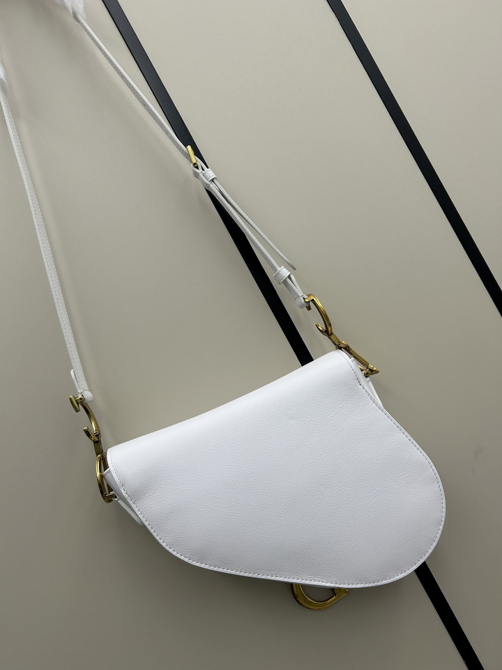 Dior saddle 0455 25 5x20x6 5cm jj1_2