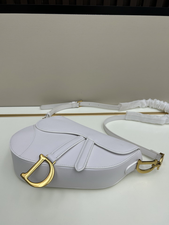 Dior saddle 0455 25 5x20x6 5cm jj1_4