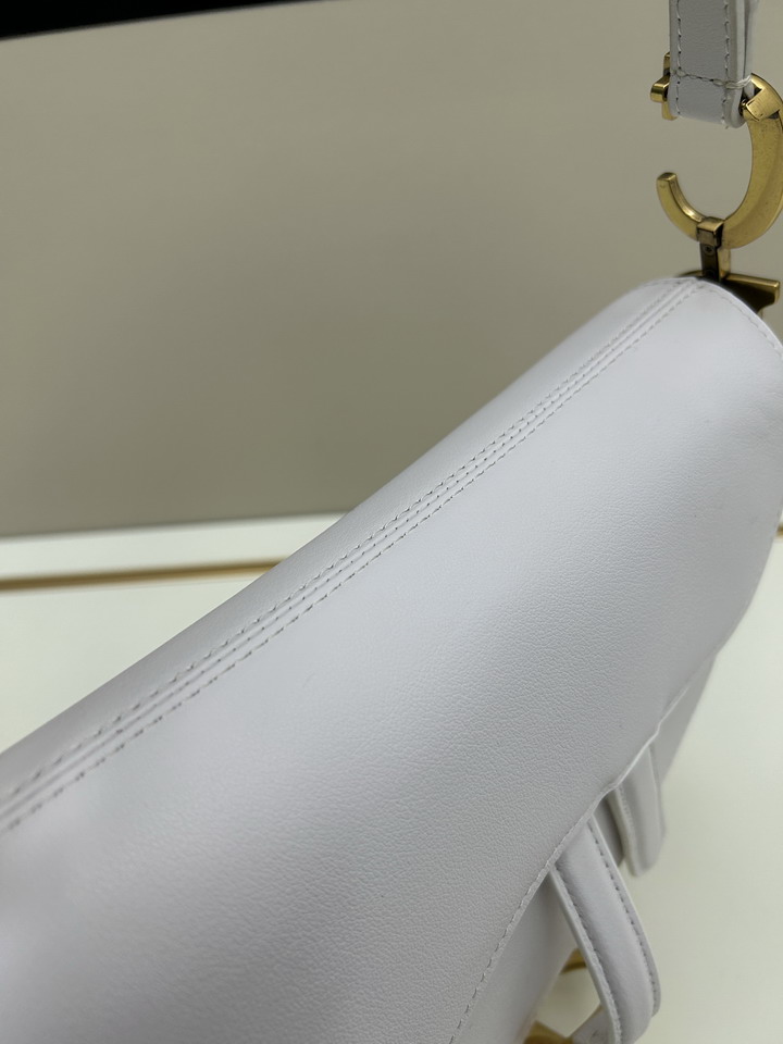 Dior saddle 0455 25 5x20x6 5cm jj1_5