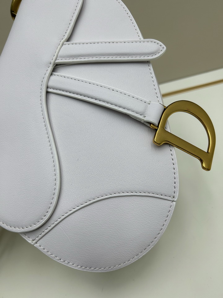 Dior saddle 0455 25 5x20x6 5cm jj1_6