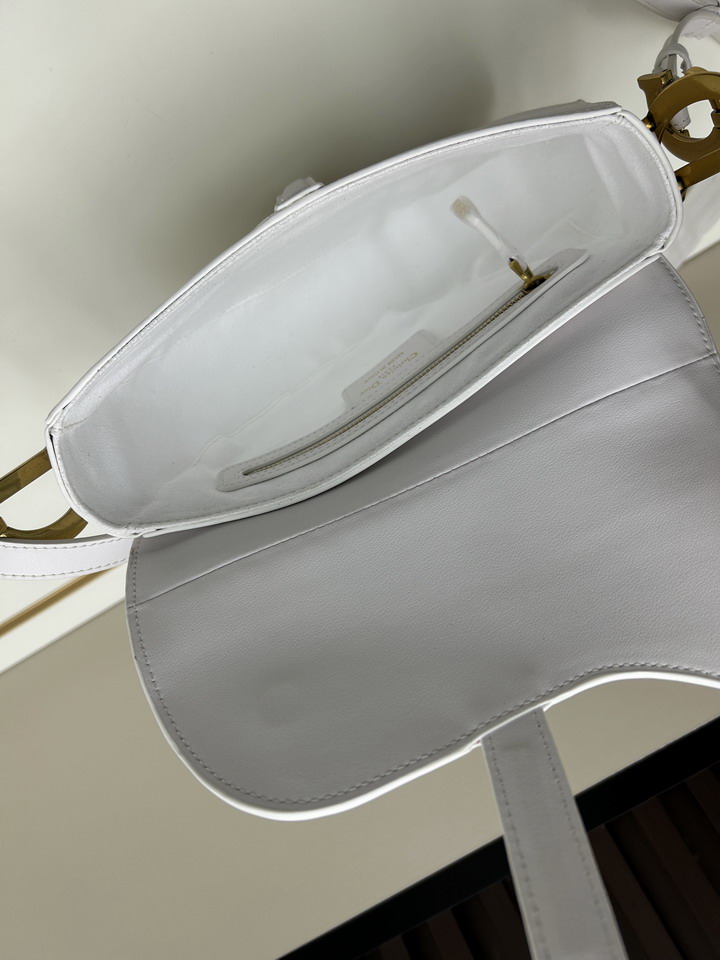 Dior saddle 0455 25 5x20x6 5cm jj1_7